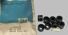 NOS GM 1971-74 CHEVROLET VEGA 140 4 CYLINDER ENGINE VALVE SEAL KIT - 3998326