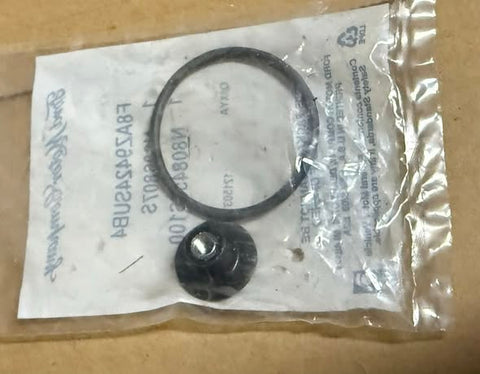 NOS N806807S & N808455S100 intake manifold fasteners used in Ford’s 4.6L SOHC V8